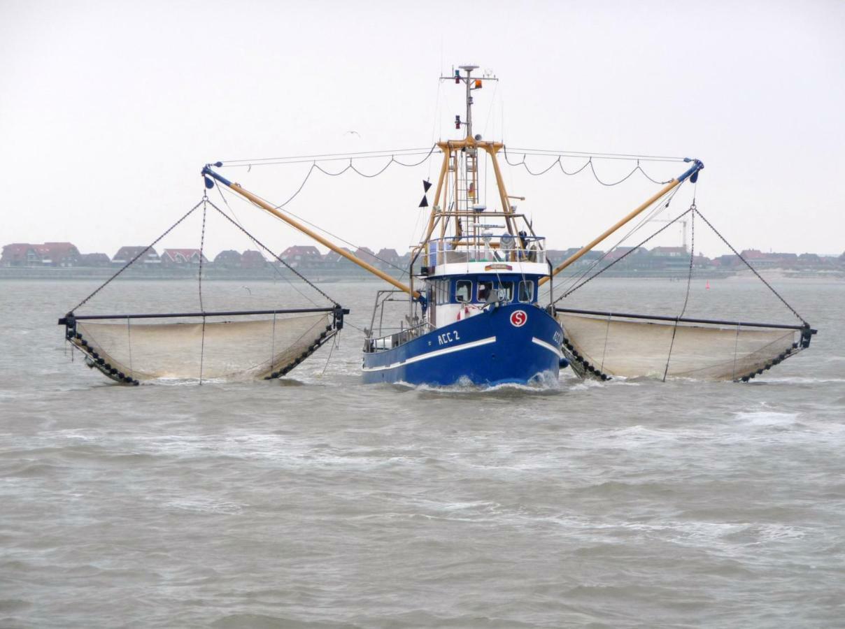 Huus Wattenmeer In Nessmersiel An Der Nordsee 돌눔 외부 사진